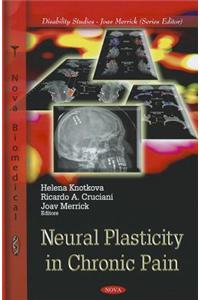 Neural Plasticity in Chronic Pain