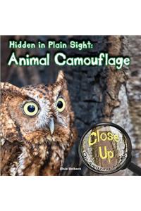 Hidden in Plain Sight