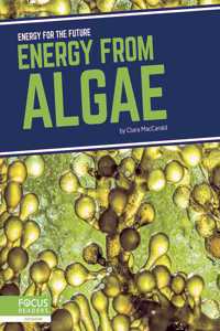 Energy from Algae