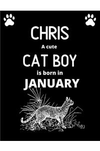 CHRIS a cute cat boy is born in January