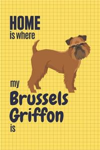 Home is where my Brussels Griffon is