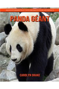 Panda Géant