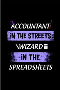 Accountant in the streets wizard in the spreadsheets