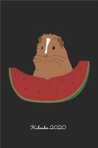Meerschweinchen mit Melone