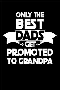 Only The Best Dads Get Promoted To Grandpa