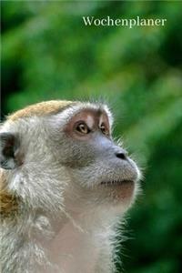 Wochenplaner