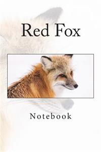 Red Fox
