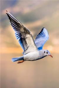 Myofascial Release Therapy Therapist Techniques Journaling Writing