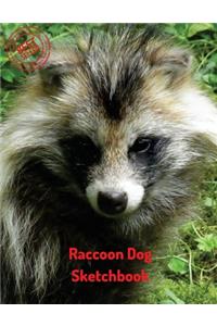 Raccoon Dog Sketchbook