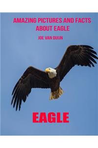 Eagle: Amazing Pictures and Facts about Eagle
