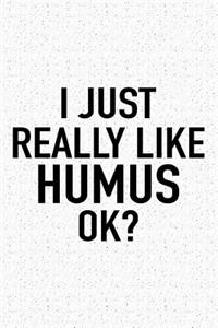 I Just Really Like Humus Ok?: A 6x9 Inch Matte Softcover Journal Notebook with 120 Blank Lined Pages and a Funny Sarcastic Cover Slogan