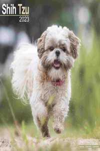 Shih Tzu 2023 Wall Calendar