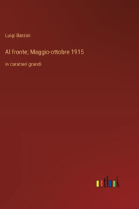 Al fronte; Maggio-ottobre 1915