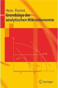 Grundzüge Der Analytischen Mikroökonomie