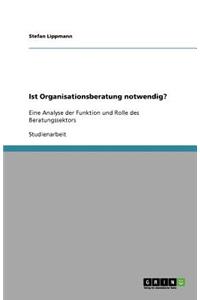 Ist Organisationsberatung notwendig?