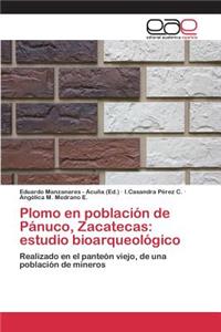 Plomo en población de Pánuco, Zacatecas