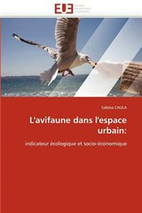 L''avifaune Dans l''espace Urbain