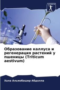 Образование каллуса и регенерация растен