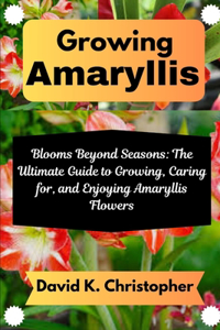 Growing Amaryllis
