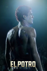 El Potro