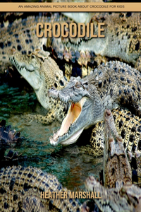 Crocodile