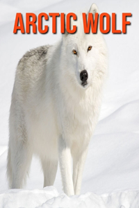 Arctic Wolf