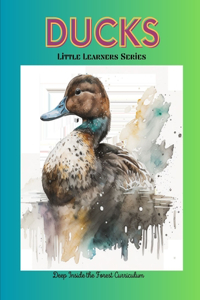 Ducks - Little Learners Series