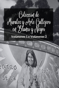 Colección de Murales y Arte Callejero en Blanco y Negro - Volúmenes 1 y 2