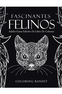 Fascinantes Felinos