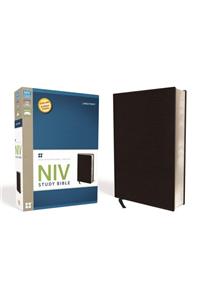 Study Bible-NIV-Large Print