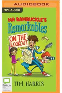 MR Bambuckle's Remarkables on the Lookout