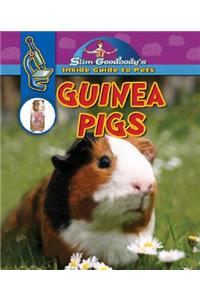 Guinea Pigs