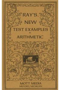 Ray's New Test Examples in Arithmetic