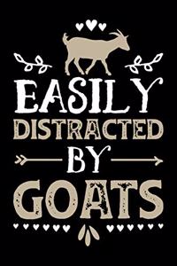 Easily Distracted By Goats