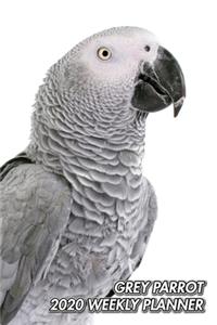 Grey Parrot 2020 Weekly Planner