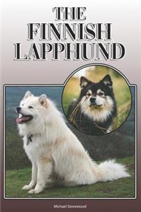 Finnish Lapphund
