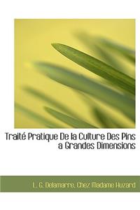 Trait Pratique de La Culture Des Pins a Grandes Dimensions