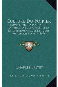 Culture Du Poirier