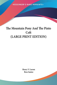 The Mountain Pony and the Pinto Colt