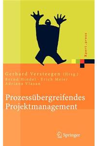 Prozessubergreifendes Projektmanagement: Grundlagen Erfolgreicher Projekte