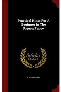 Practical Hints for a Beginner in the Pigeon Fancy