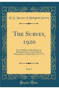 The Survey, 1920, Vol. 1