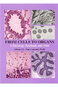 From Cells to Organs
