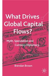 What Drives Global Capital Flows?