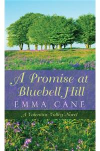 Promise at Bluebell Hill