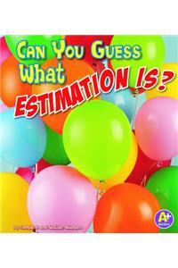 Can You Guess What Estimation Is?