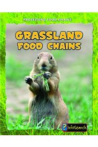 Grassland Food Chains