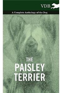 Paisley Terrier - A Complete Anthology of the Dog