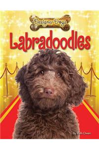 Labradoodles