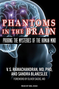 Phantoms in the Brain